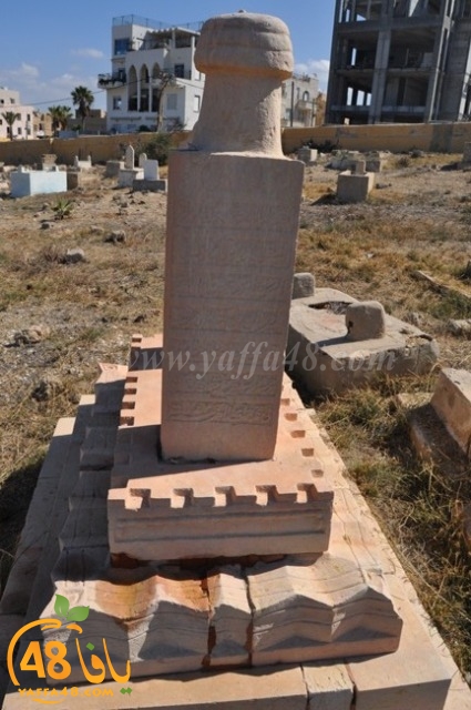 WhatsApp Image 2022-05-25 at 1.01.43 PM.jpg